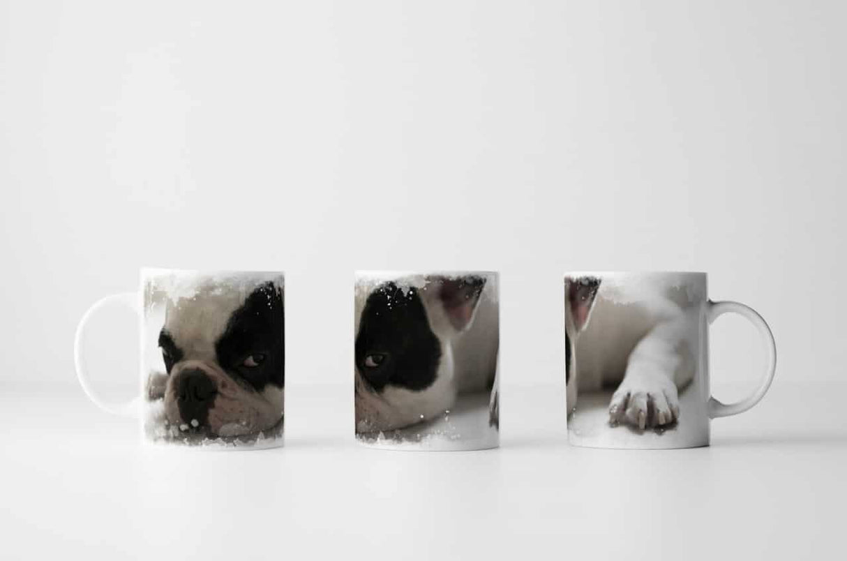 279953831_TASSEZ3C1O6SC3VEFj_1280x1280.jpg
