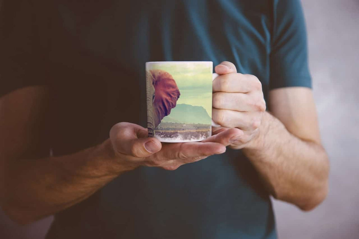 367384313_TASSE8XEwlUJZvtp6o_1280x1280.jpg
