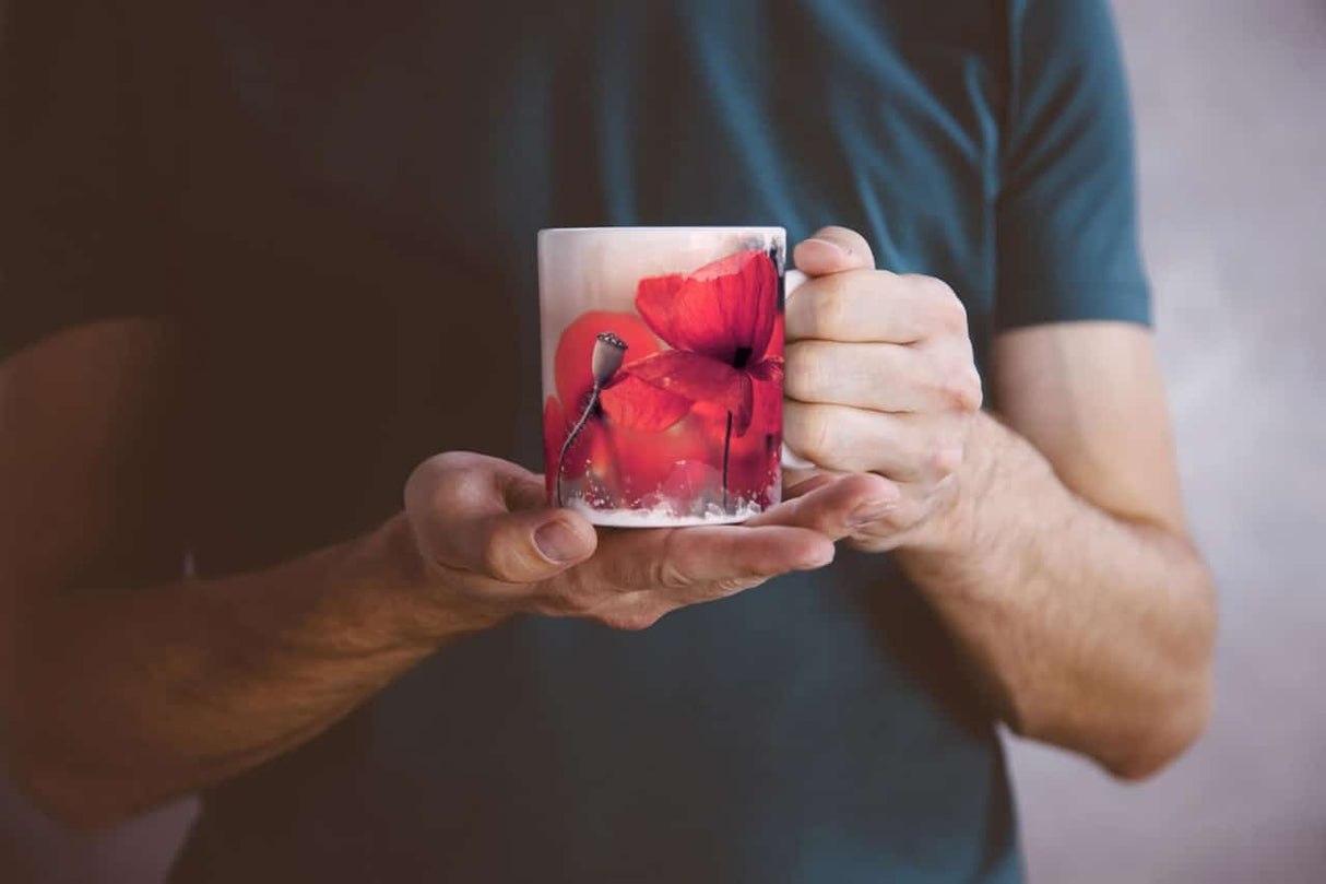 436529551_TASSE6tL2HCWIAEkBK_1280x1280.jpg