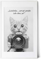 Paul Sinus Poster/Leinwandbild/Rahmenoption Lustiges Katzenbild – Witzige Klo-Deko fürs Gäste-WC – Perfekt für Social-Media-Fans