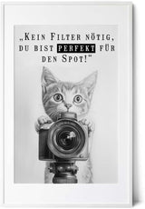 Paul Sinus Poster/Leinwandbild/Rahmenoption Lustiges Katzenbild – Witzige Klo-Deko fürs Gäste-WC – Perfekt für Humorvolle