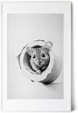 Paul Sinus Poster/Leinwandbild/Rahmenoption Lustiges Mausbild – Witzige Klo-Deko fürs Gäste-WC – Perfekt für Tierfreunde