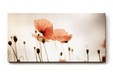 Sinus Art Wandbild 120x80cm Filigrane Mohnblumen vor hellem Hintergrund in minimalistischem Stil – leicht und poetisch