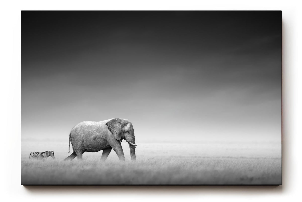 Sinus Art Wandbild 120x80cm Stimmungsvolle Szene mit Elefant und Zebra in weiter Graslandschaft als Symbol für Harmonie