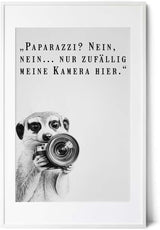 Paul Sinus Poster/Leinwandbild/Rahmenoption Lustiges Erdmännchenbild – Witzige Klo-Deko fürs Gäste-WC – Perfekt für Humorvolle