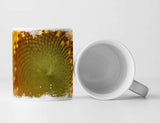 526385989_TASSE6enSmwdpFnbFm_1280x1280.jpg