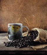 527721103_TASSE_1280x1280.jpg