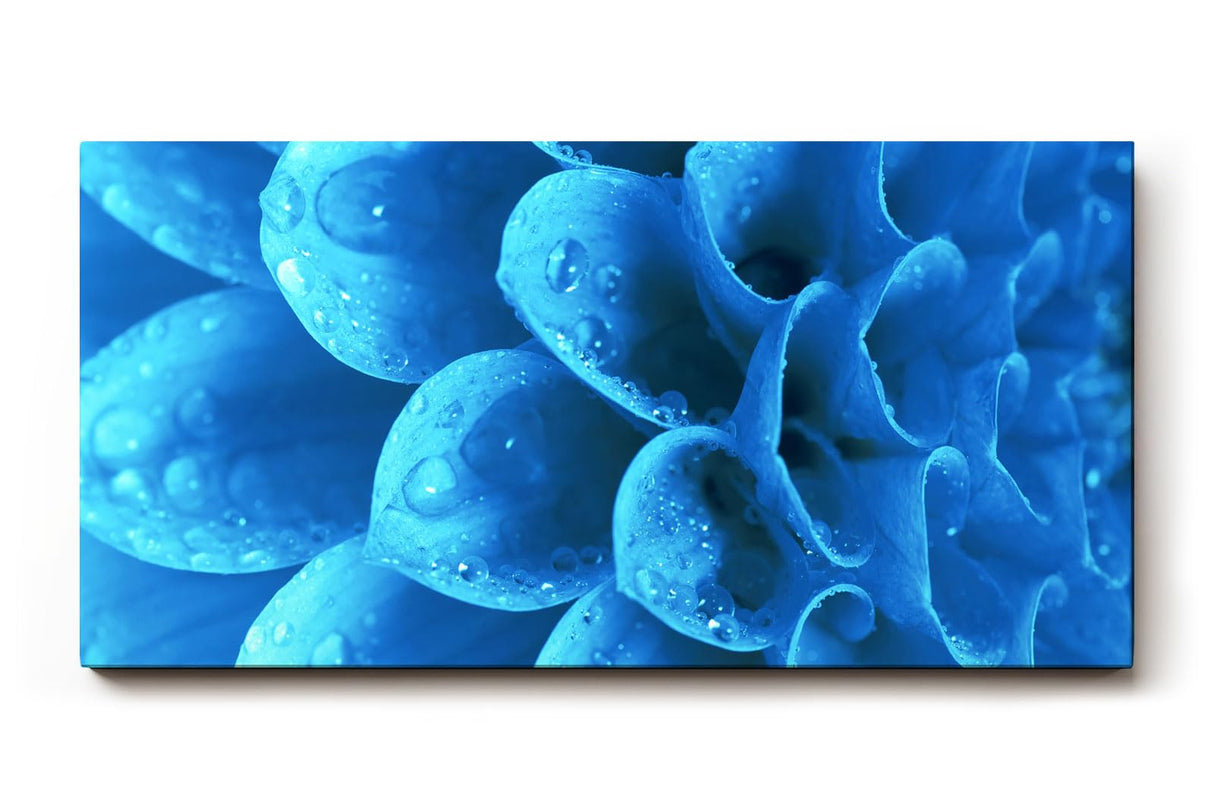Sinus Art Wandbild 120x80cm Die Tropfen auf der blauen Blüte bringen Frische, Eleganz und Tiefe in den Raum