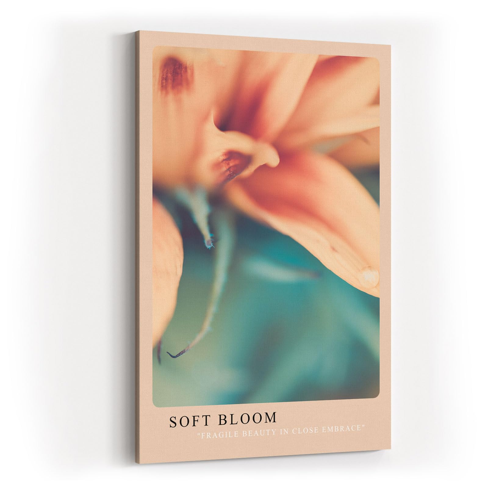 Paul Sinus Kunstdruck 40x60cm Soft Bloom mit zarter Blüte in Nahaufnahme