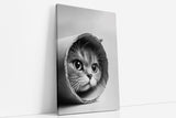 Paul Sinus Poster/Leinwandbild/Rahmenoption Lustiges Katzenbild – Süße Klo-Deko für dein Badezimmer – Perfekt fürs Gäste-WC