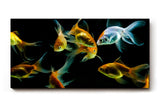 Sinus Art Wandbild 120x80cm Anmutige Darstellung von Goldfischen in harmonischer Farbkomposition
