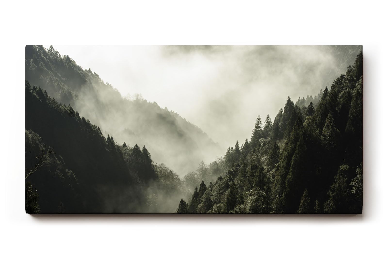 Sinus Art Wandbild 120x80cm Dichter Nadelwald unter ziehendem Nebel – geheimnisvoll, ruhig und atmosphärisch