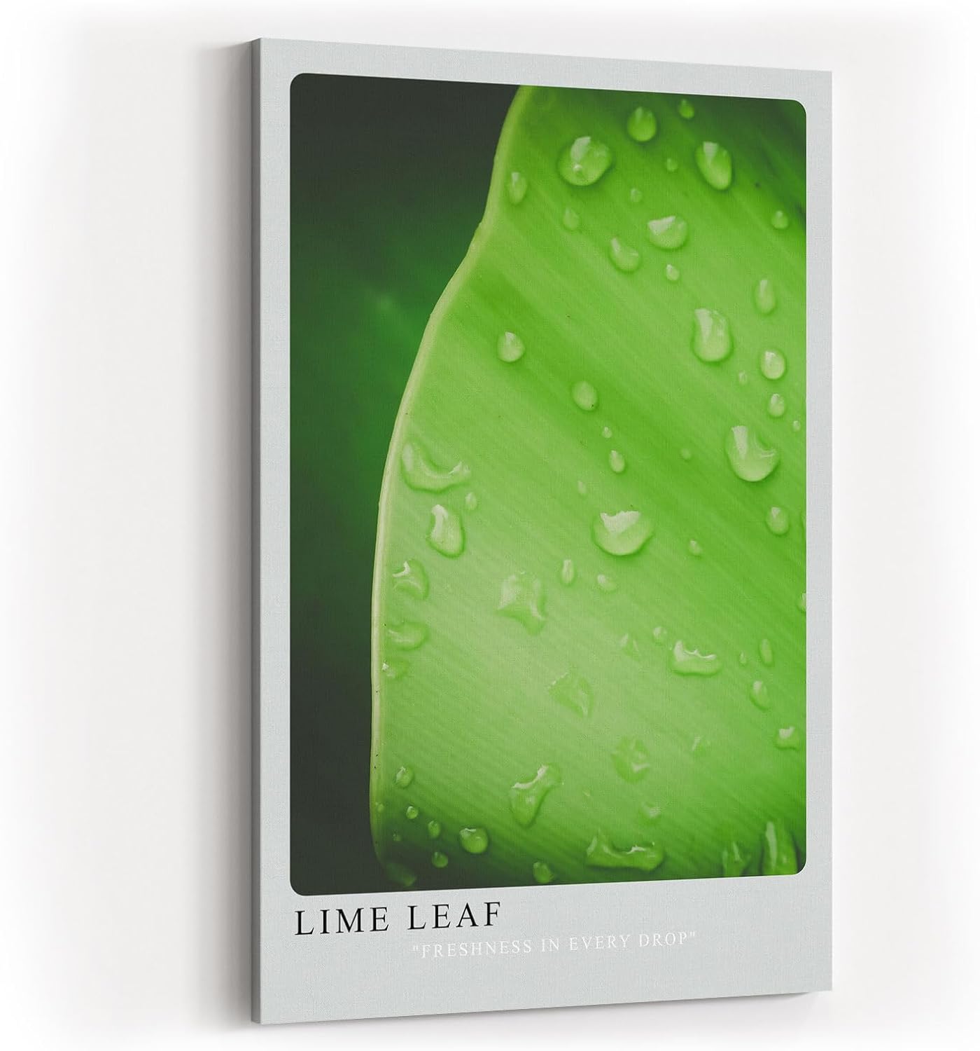 Paul Sinus Kunstdruck 40x60cm Lime Leaf Tropfen Blatt Grün Natur Makro Minimalismus