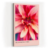 Paul Sinus Kunstdruck 40x60cm Blooming Fire mit feuriger Blüte in intensiven Rottönen