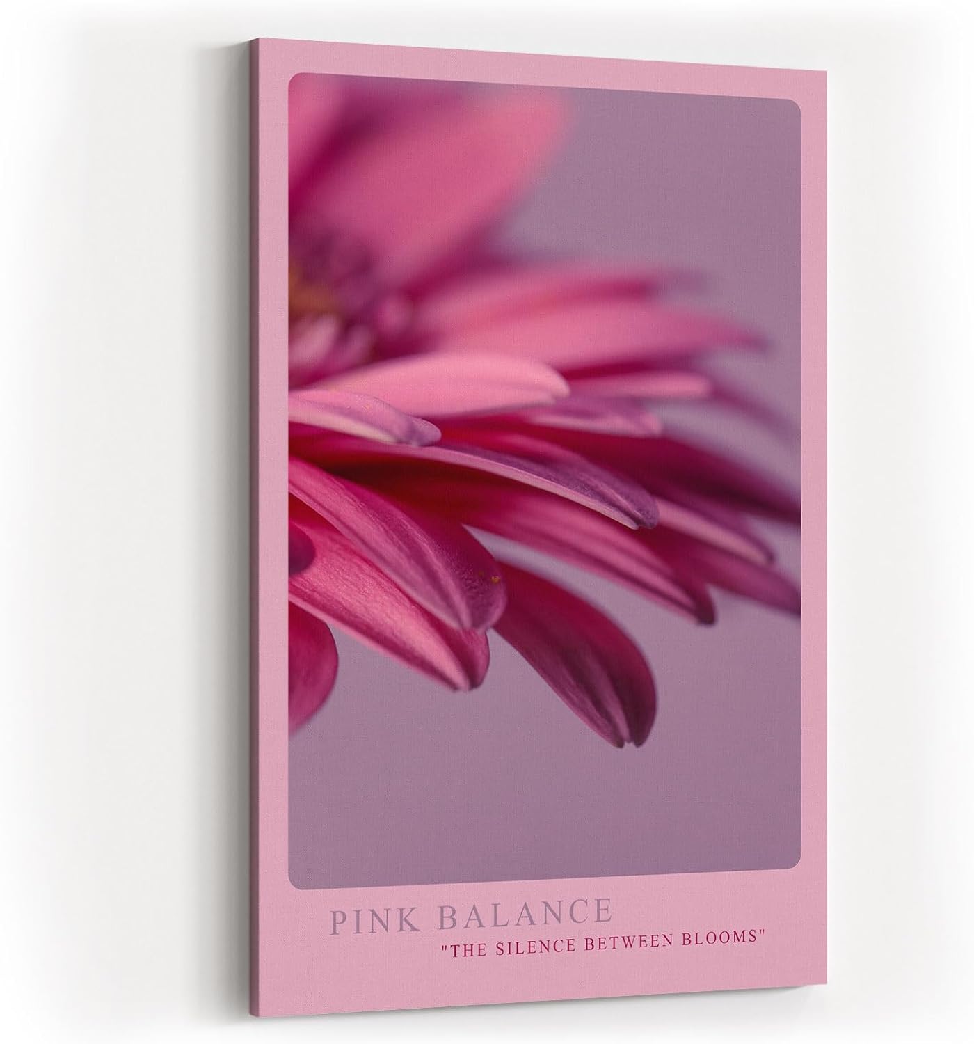 Paul Sinus Kunstdruck 40x60cm Pink Balance Makroaufnahme Blüte Blütenblätter Blume Rosa Detailfotografie