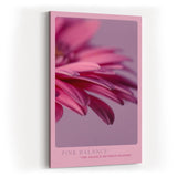 Paul Sinus Kunstdruck 40x60cm Pink Balance Makroaufnahme Blüte Blütenblätter Blume Rosa Detailfotografie