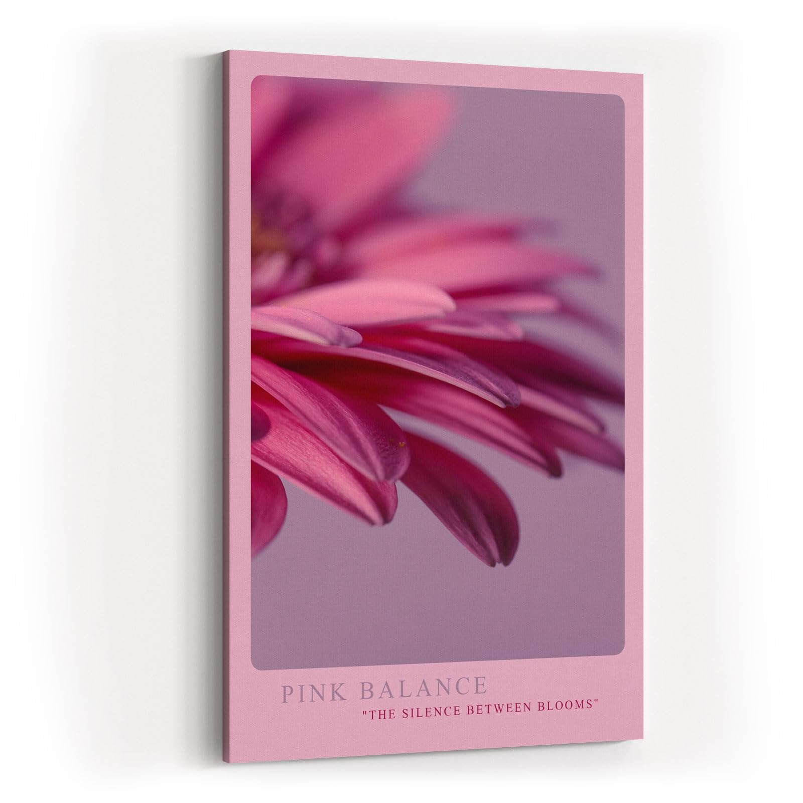 Paul Sinus Kunstdruck 40x60cm Pink Balance Makroaufnahme Blüte Blütenblätter Blume Rosa Detailfotografie