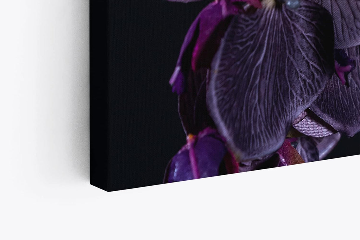 Paul Sinus Wandbild 120x80cm Dunkele Orchidee Blume Blüte Schwarz Fotokunst