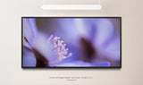 blaue Blume ca. 130x70cm Wandbild inklusive Schattenfugenrahmen schwarz - Panorama Leinwand Bild XXL Format Wandbilder Wohnzimmer Wohnung Deko Kunstdrucke