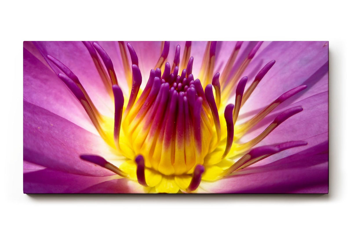 Sinus Art Wandbild 120x80cm Lotusblume in Violett mit leuchtendem Inneren – kraftvoll, symbolisch und beruhigend