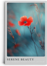 Paul Sinus Leinwandbild 80x120cm Serene Beauty – Blume, Natur, Blau, Rot, Harmonie, Eleganz, Fotografie, Inspiration, Kunst, Ästhetik, Emotion, Stille