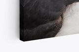 Wandbild 120x80cm Papageitaucher Pärchen Liebespärchen Tierfotografie