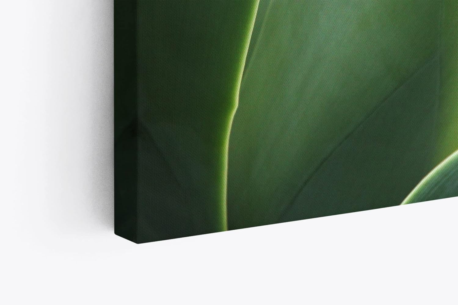 Paul Sinus Wandbild 120x80cm Pflanze Grün Nahaufnahme Fotokunst Natur Dekorativ