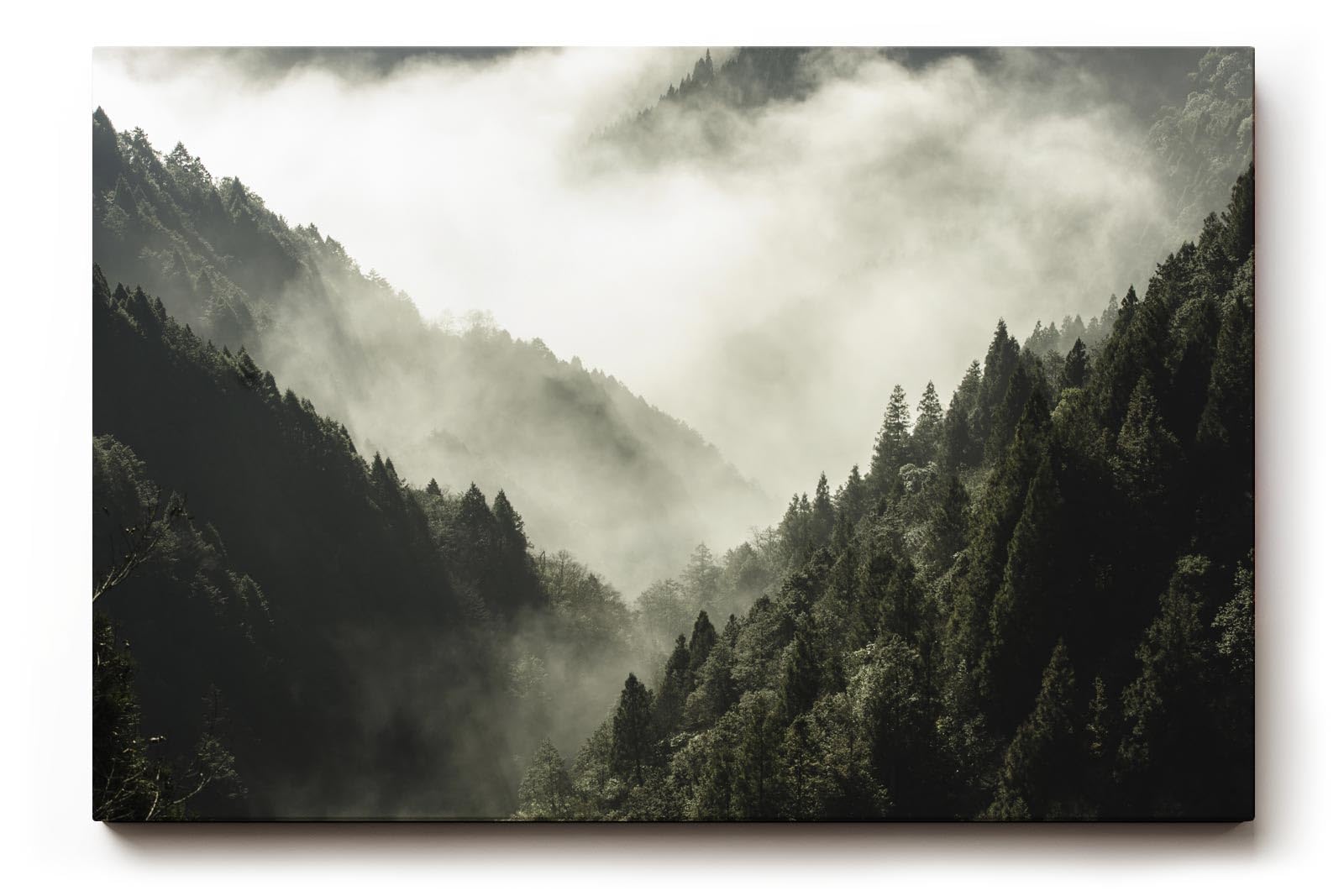 Sinus Art Wandbild 120x80cm Dichter Nadelwald unter ziehendem Nebel – geheimnisvoll, ruhig und atmosphärisch