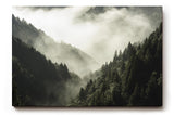 Sinus Art Wandbild 120x80cm Dichter Nadelwald unter ziehendem Nebel – geheimnisvoll, ruhig und atmosphärisch