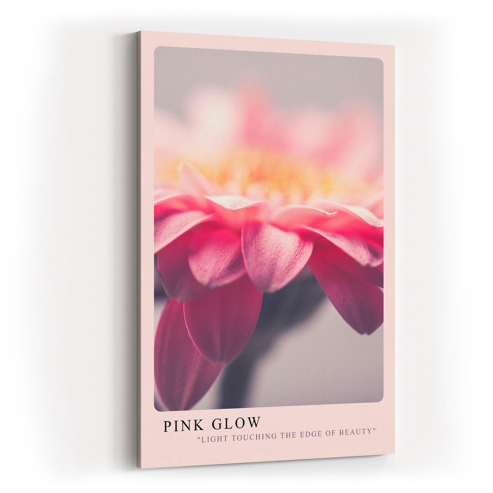 Paul Sinus Kunstdruck 40x60cm Pink Glow – Sanfte Blütenpracht in zartem Lichtspiel
