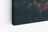 Paul Sinus Wandbild 120x80cm Tannenwald Wald Berg Natur Bäume Nebel Kunstvoll