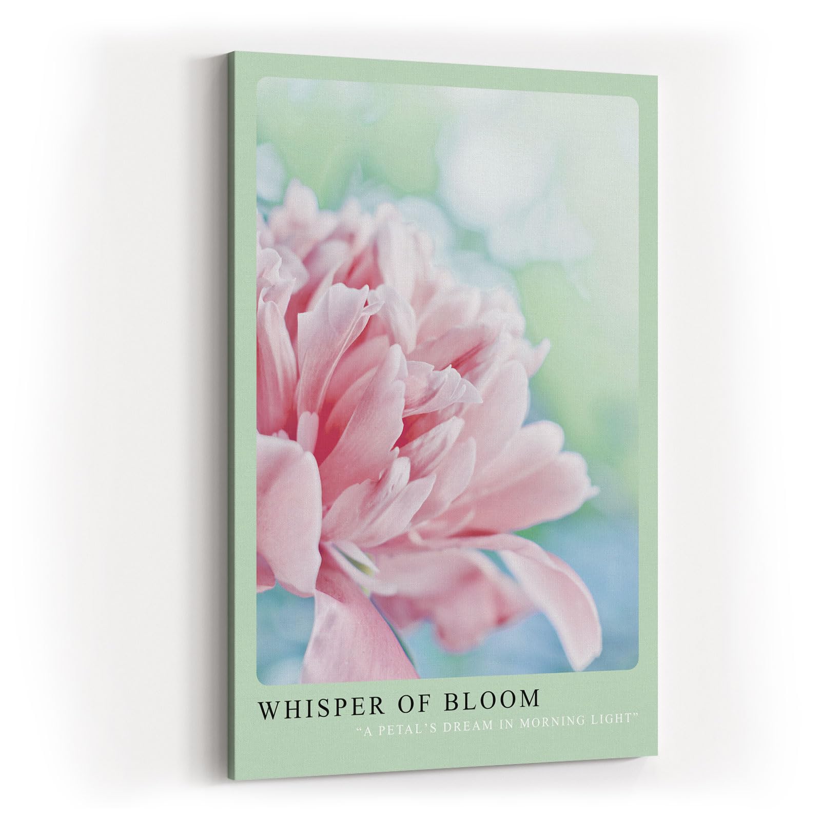 Paul Sinus Kunstdruck 40x60cm Whisper of Bloom – zarte Pfingstrose im Morgentau