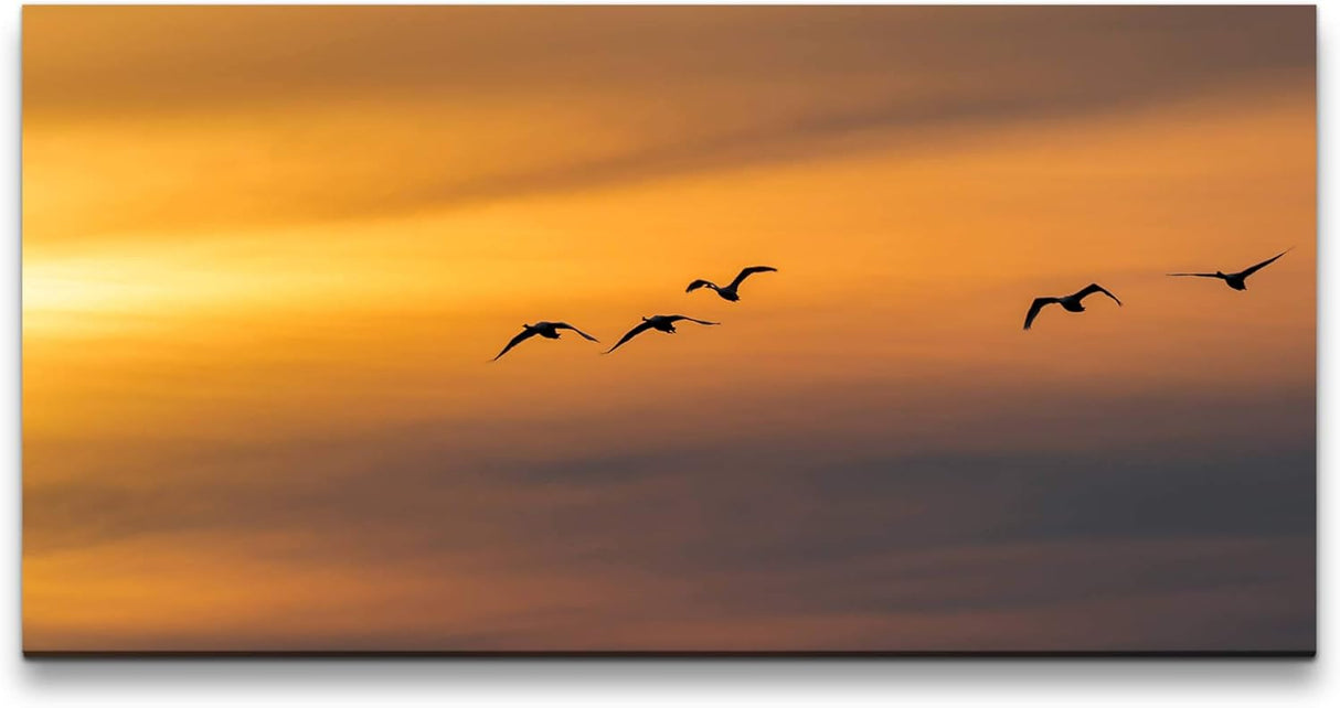 Vögel im Himmel ca. 130x70cm Wandbild inklusive Schattenfugenrahmen weiss - Panorama Leinwand Bild XXL Format Wandbilder Wohnzimmer Wohnung Deko Kunstdrucke