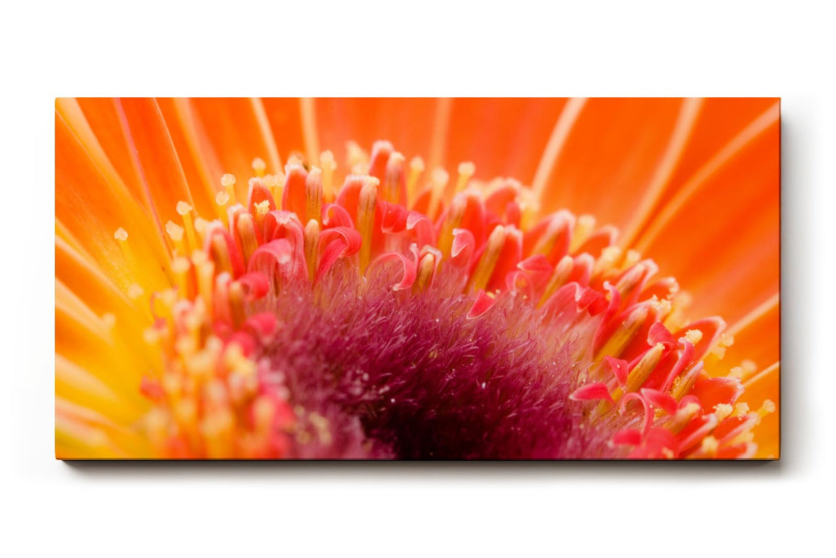 Sinus Art Wandbild 120x80cm Leuchtendes Orange und zartes Pink verschmelzen zu einem floralen Energiezentrum