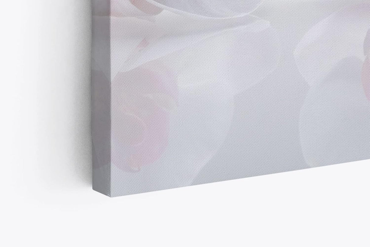 Paul Sinus Wandbild 120x80cm Orchideen Blumen weiße Blüten Hell Fotokunst