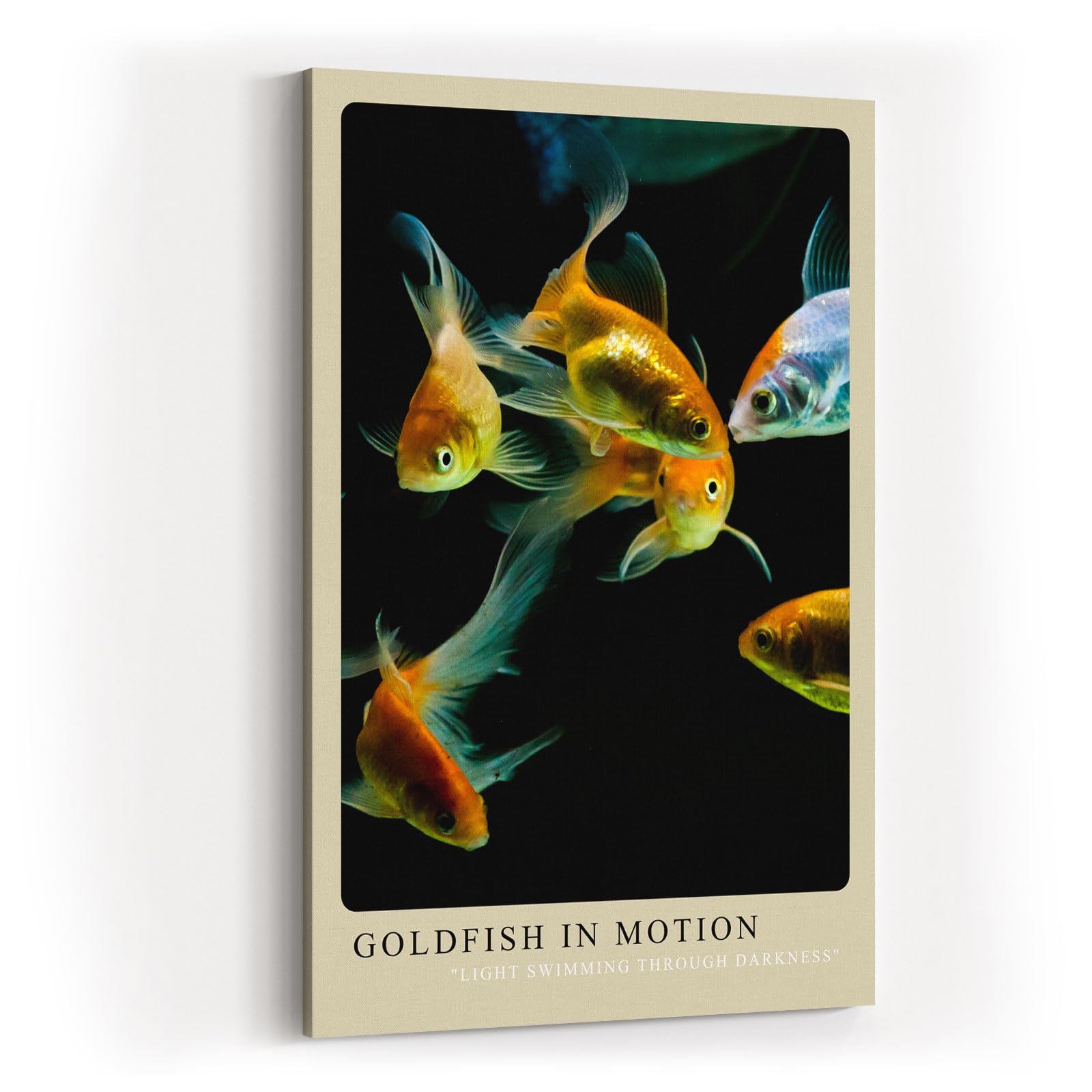 Paul Sinus Kunstdruck 40x60cm Goldfish in Motion – Elegante Goldfische in lebendiger Bewegung auf schwarzem Grund
