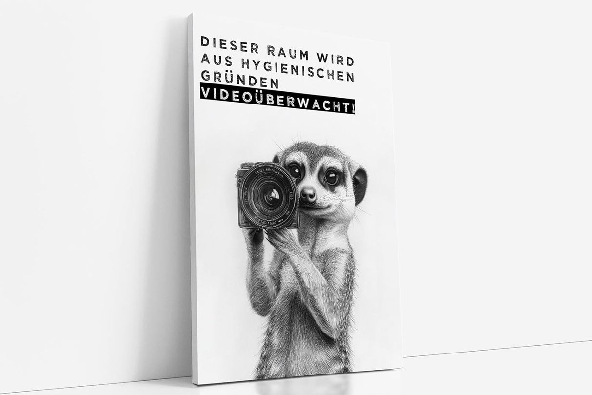 Paul Sinus Poster/Leinwandbild/Rahmenoption Lustiges Erdmännchenbild – Witzige Klo-Deko fürs Gäste-WC – Perfekt für Humorvolle