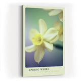 Paul Sinus Kunstdruck 40x60cm Spring Whirl Narzisse Blüte Frühling Gelb Makro Naturpastell
