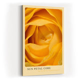 Paul Sinus Kunstdruck 40x60cm Sun Petal Core Gelbe Rose Blüte Makro Nahaufnahme Wärme Natur