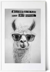 Paul Sinus Poster/Leinwandbild/Rahmenoption Lustiges Lamabild – Coole Klo-Deko fürs Gäste-WC – Perfekt für Humorvolle
