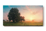 Sinus Art Wandbild 120x80cm Grüne Wiese im goldenen Morgenlicht mit Baumgruppe für eine friedliche Raumwirkung