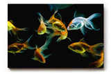 Sinus Art Wandbild 120x80cm Anmutige Darstellung von Goldfischen in harmonischer Farbkomposition