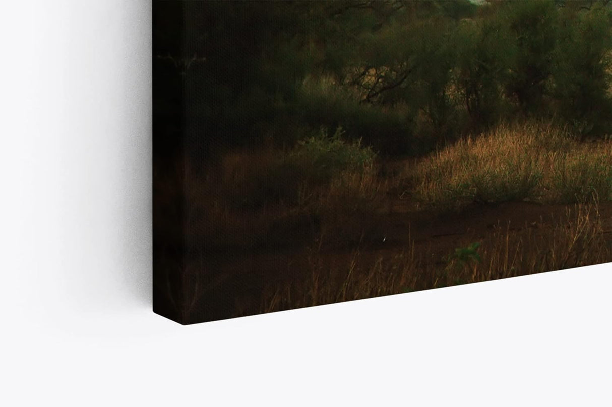 Paul Sinus Wandbild 120x80cm Kilimandscharo Berg Afrika Burkea Bäume Wolken