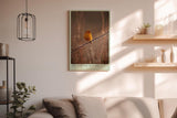 Paul Sinus Wandbild in 40x60cm Gelber Singvogel auf taubenetztem Zweig in Morgenstimmung