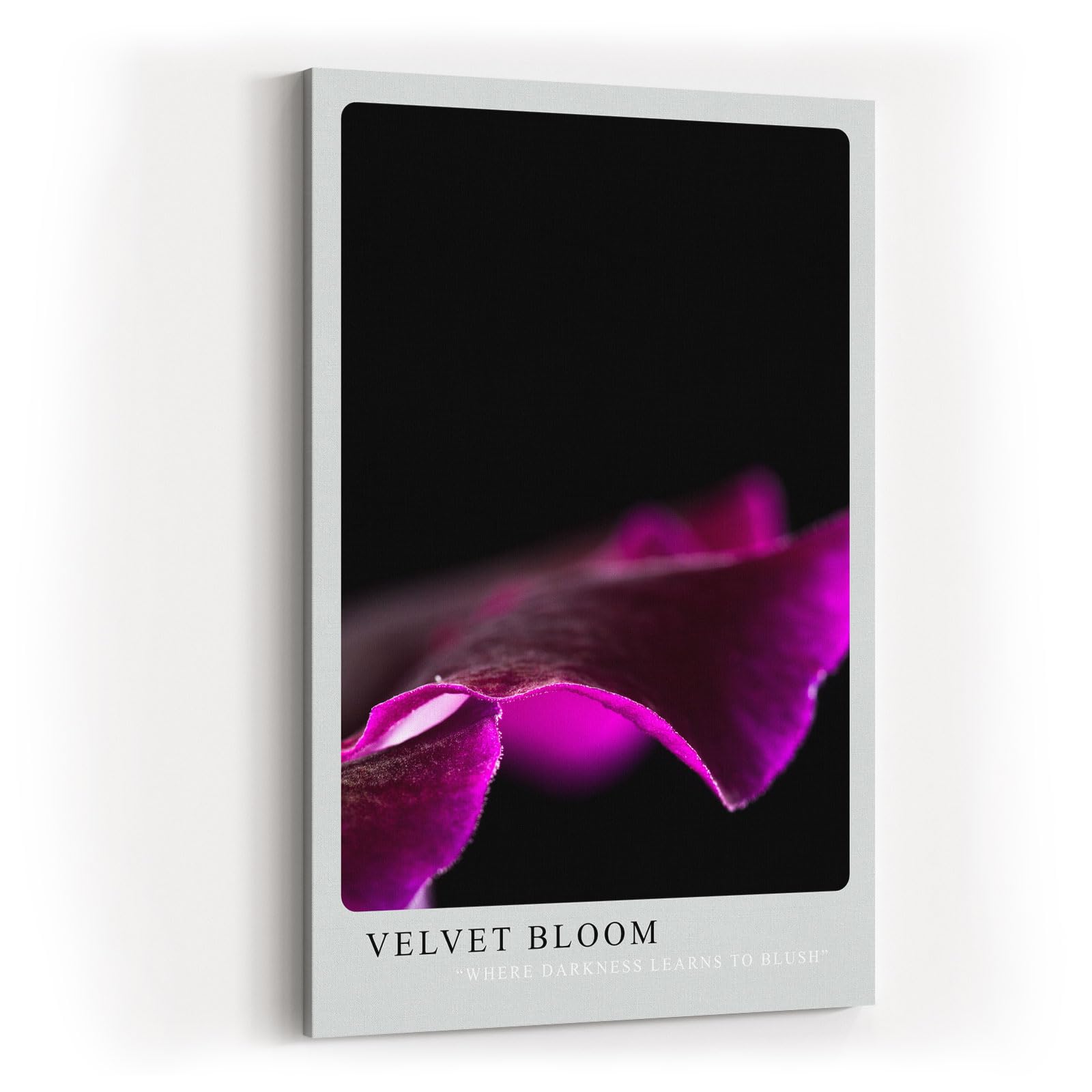 Paul Sinus Kunstdruck 40x60cm Velvet Bloom – samtige Blütenform in dunklem Violett auf Schwarz