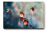 Sinus Art Wandbild 120x80cm Die rot-orange gefärbten Schmetterlinge strahlen Leichtigkeit, Freiheit und Lebendigkeit aus