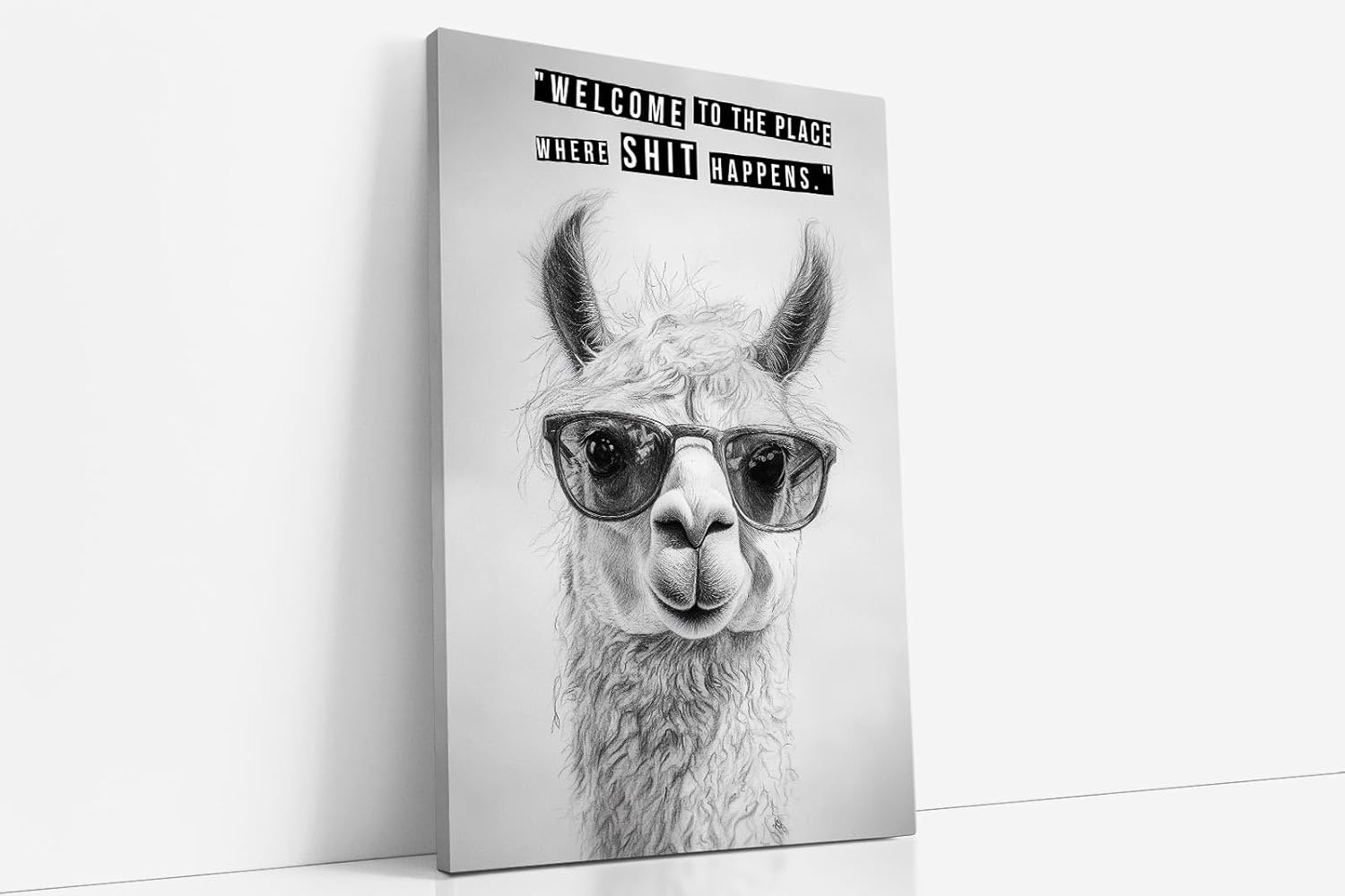 Paul Sinus Poster/Leinwandbild/Rahmenoption Lustiges Lamabild – Coole Klo-Deko fürs Gäste-WC – Perfekt für Humorvolle