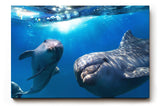 Sinus Art Wandbild 120x80cm Die Delfine wirken lebensfroh und einladend und bringen maritime Energie in jeden Raum