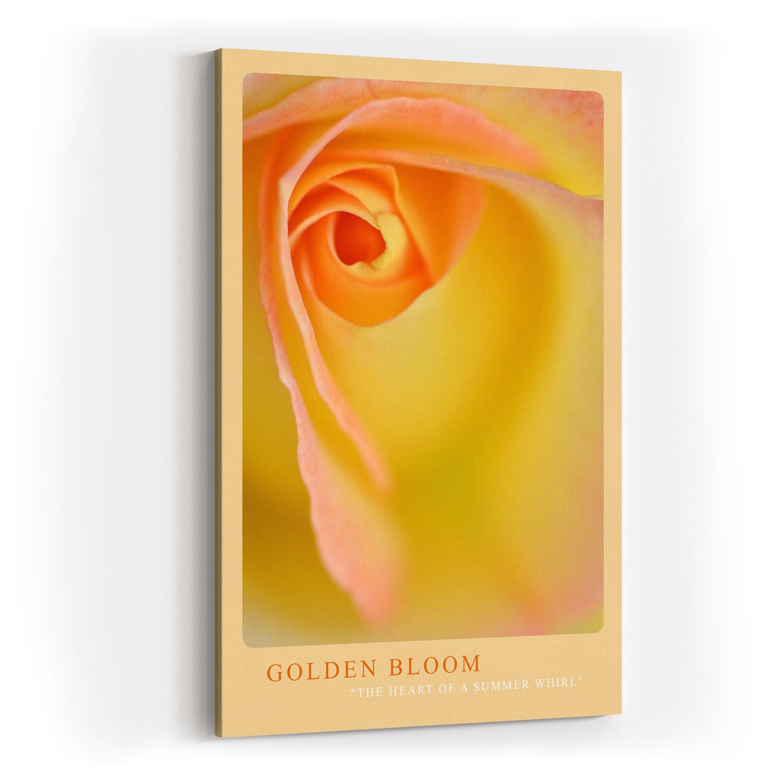 Paul Sinus Kunstdruck 40x60cm Golden Bloom Gelbe Rose Makro Nahaufnahme Blume Sommerfarbe Detail