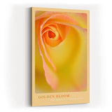 Paul Sinus Kunstdruck 40x60cm Golden Bloom Gelbe Rose Makro Nahaufnahme Blume Sommerfarbe Detail